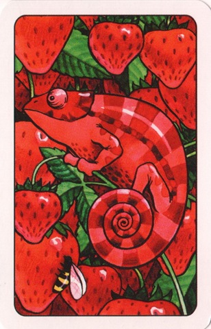 [coloretto-ru-card1[3].jpg]